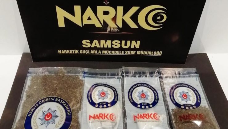 Samsun’da satışa hazır bonzai ile yakalanan bir kişi gözaltına alındı