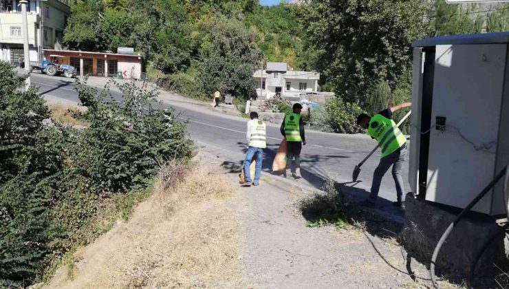 Şenoba belediyesinden sonbahar temizliği