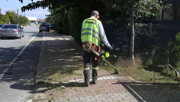 Serdivan’da okul çevrelerine düzenleme