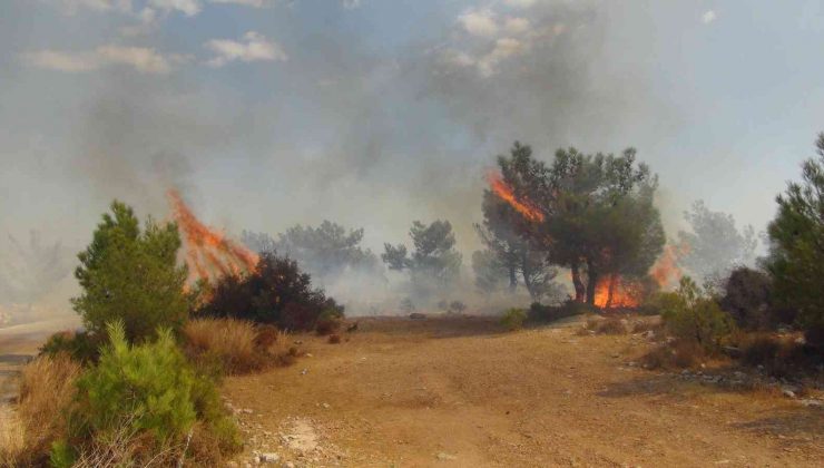 Silifke’de çalılık alanda çıkan yangın ormana sıçradı