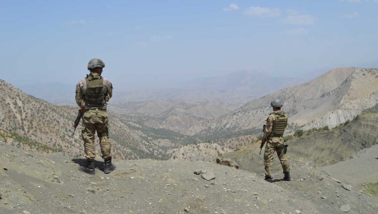 Şırnak’ta Besta operasyonu