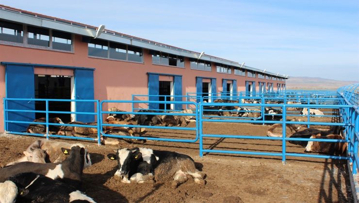 Sivas’ta TKDK sayesinde bin 250 proje hayat buldu