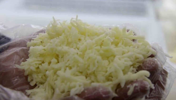 Sivas’ta üretiliyor, 18 ülkede pizzaları lezzetlendiriyor