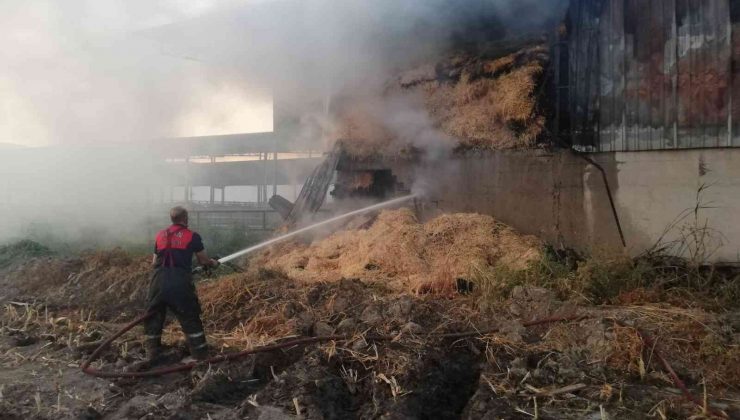 Söke’de hayvan damında çıkan yangın korkuttu