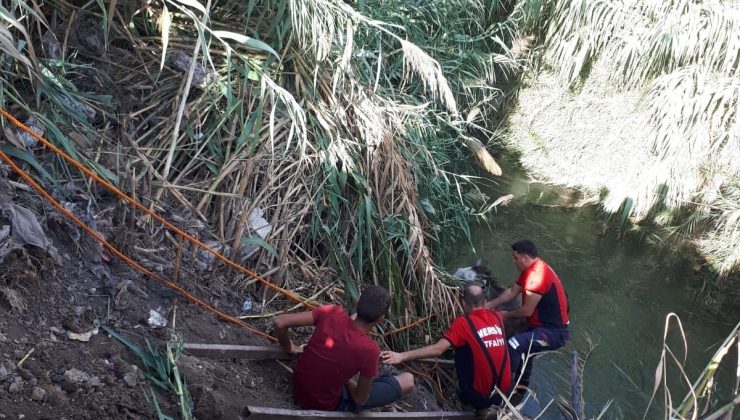 Sulama kanalına düşen atı itfaiye kurtardı