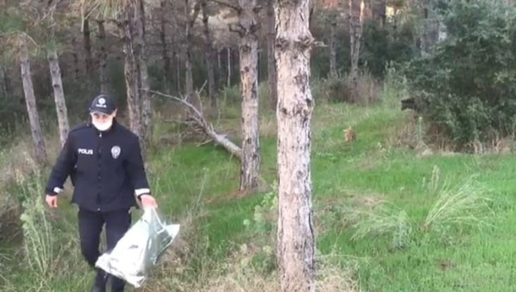 Sultangazi’de polis ekipleri sokak hayvanlarını elleriyle besledi