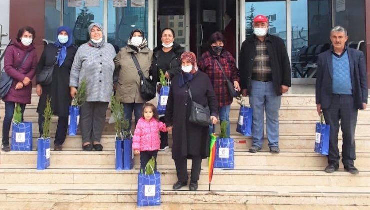 Tapuya gidene fidan hediye