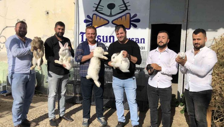 Tavşanla hayatları değişti