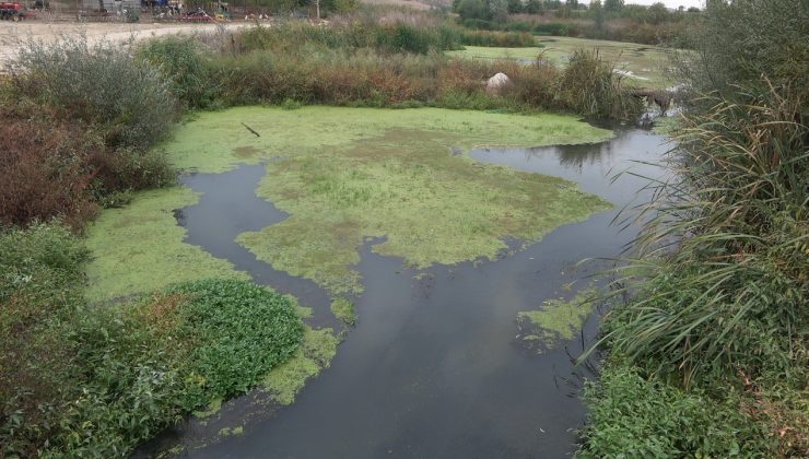 Tekke Deresi’ne atık bırakıldığı iddiasına inceleme
