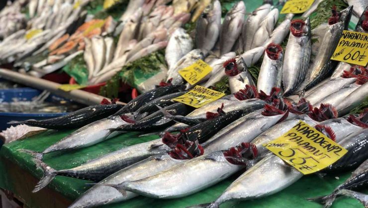 Tezgahta bolluğu ile dikkat çeken lüfere ilgi azalmıyor