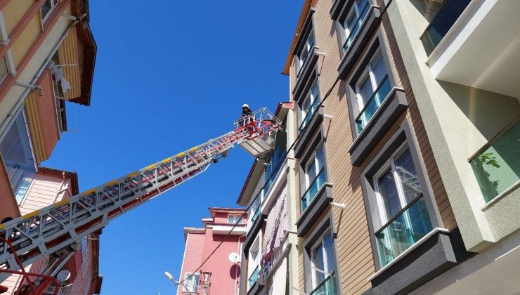 Tokat’ta kumru kurtarma operasyonu