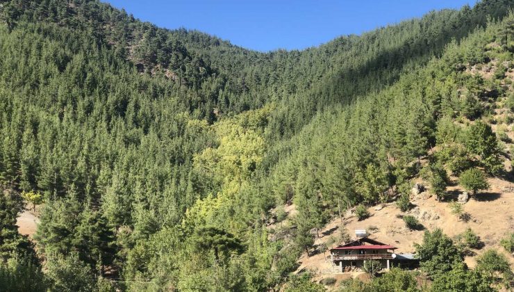 Toroslar’da sonbahar manzaraları görsel şölen oluşturuyor