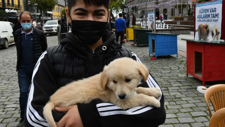 Trabzon’da 4 Ekim Dünya Hayvanları Koruma Günü etkinlikleri
