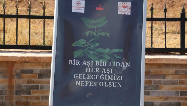 Tunceli’de ilk doz aşısını yaptıranlar için fidan dikilecek