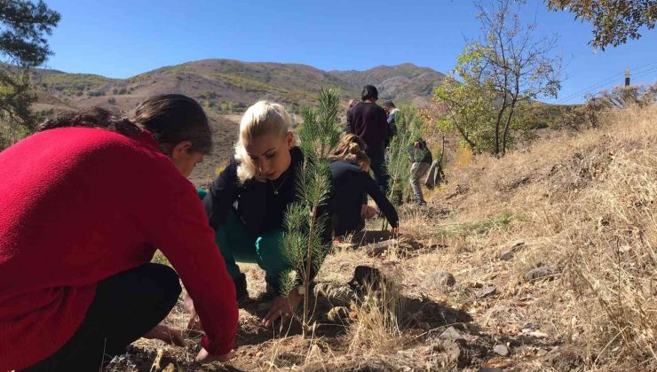 Tunceli’de Tenzile Erdoğan anısına fidan dikildi