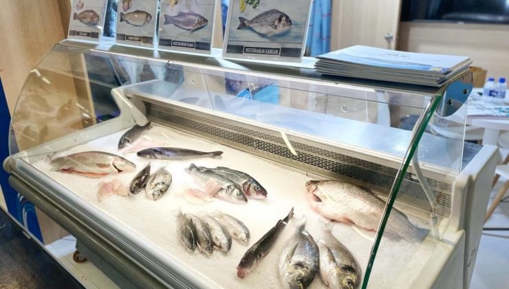 Türk su ürünleri ve hayvansal mamuller sektörü ihracatta 3,5 milyar dolara koşuyor