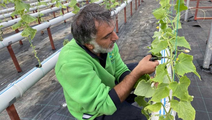 Türkiye’de bir ilk
