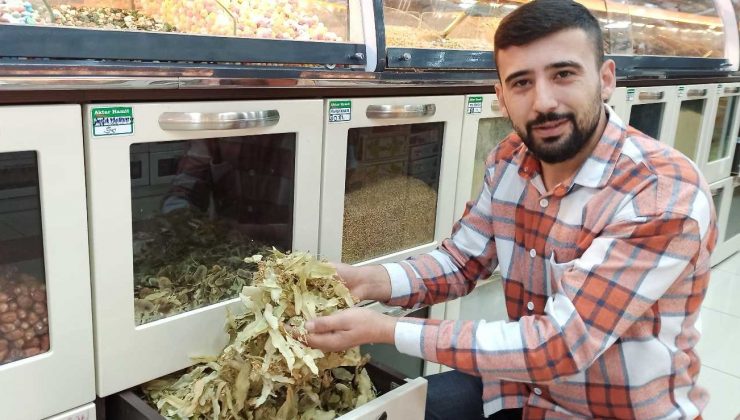 Ucuzlayan fiyatıyla ıhlamur bu sene de vazgeçilemez olacak