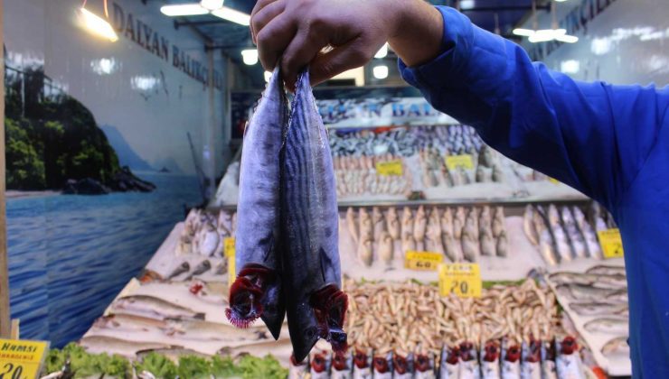 Ulus Hali Balıkçı esnafı meydan okudu