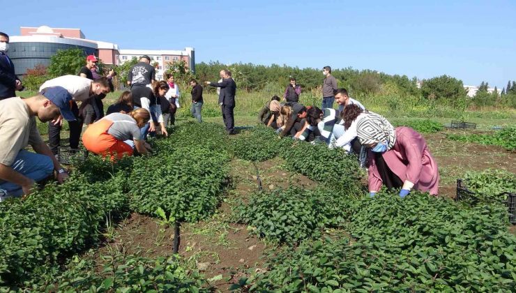 Üniversite öğrencilerinden ilaç sanayisine destek