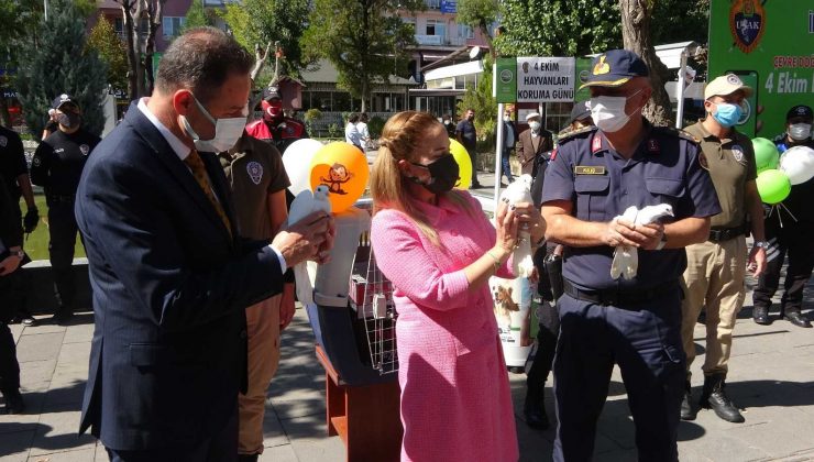 Uşak’ta 4 Ekim Hayvanları Koruma Günü çeşitli etkinliklerle kutlandı