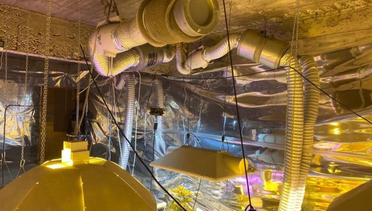 Uyuşturucu yetiştirmek için bodruma özel düzenekler kurmuş