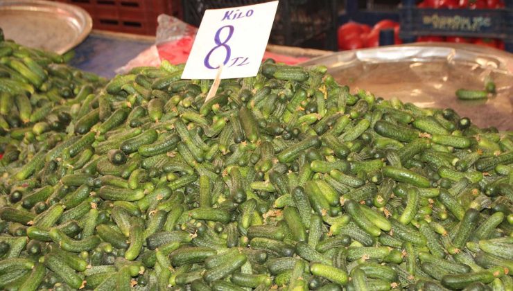 Vatandaşlar turşuluklar için pazara koştu