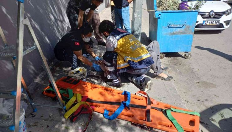 Yaşlı adam zeytin toplamak için çıktığı merdivenden düştü