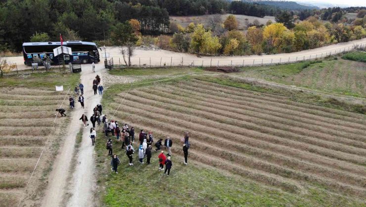 Yerli ve yabancı turistlerin gözdesi ’safran tarlaları’ ilçe turizmini hareketlendirdi