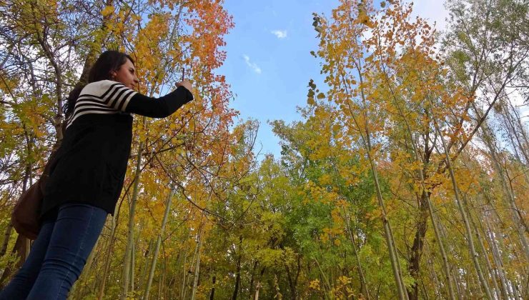 Yüksekova’da sonbahar güzelliği