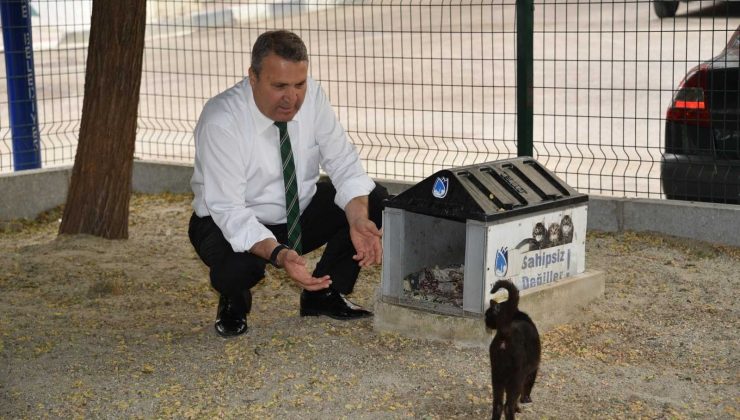 Yunusemre’de sokak hayvanları unutulmadı