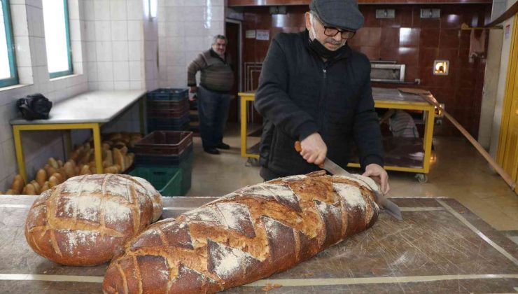 15 kiloluk balina ekmeğe yoğun ilgi