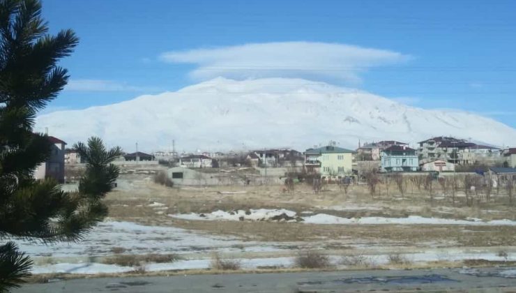 Adilcevaz’da yalancı bahar