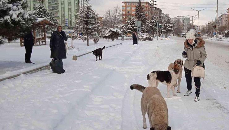 Afyonkarahisar kar altında