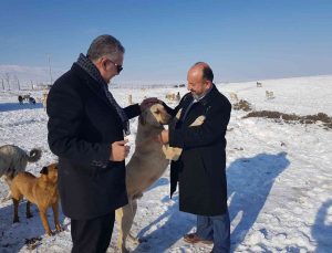 AK Parti’den yaban hayatı için doğaya yem