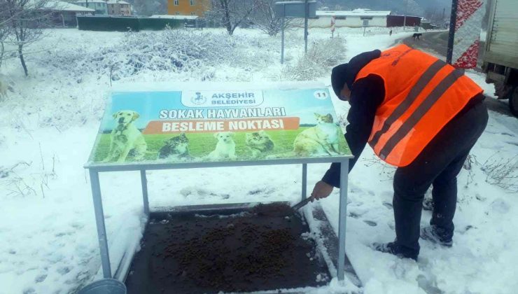 Akşehir’de hayvanlar için mama ve yemleme çalışmaları sürüyor