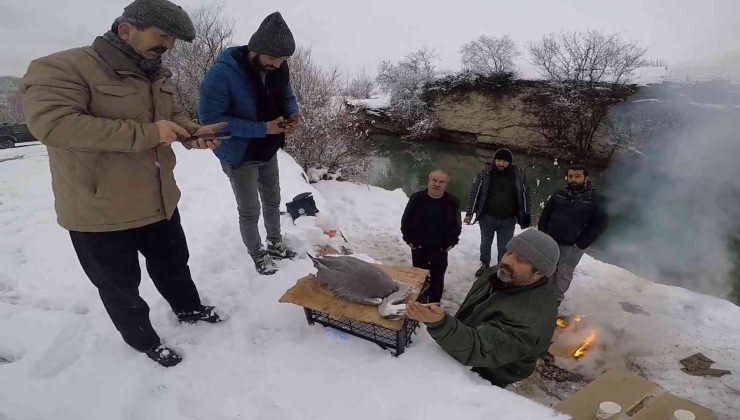 Balıkçıl kuşun imdadına ekipler yetişti