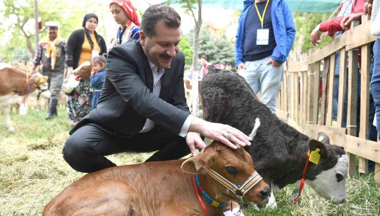 Balıkesir Büyükşehir Belediyesi’nden üreticiye 15 milyon destek