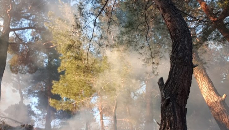 Balıkesir’de orman yangını büyümeden söndürüldü
