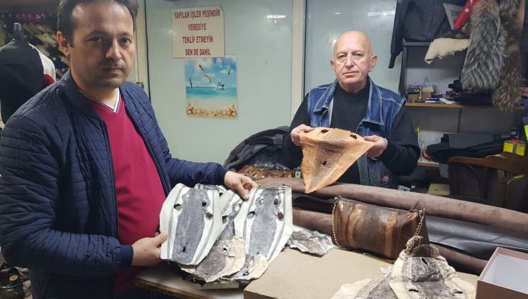 Balon balığı kadın çantası oldu, cüzdan, cep telefonu ve bilgisayar kılıfı yolda