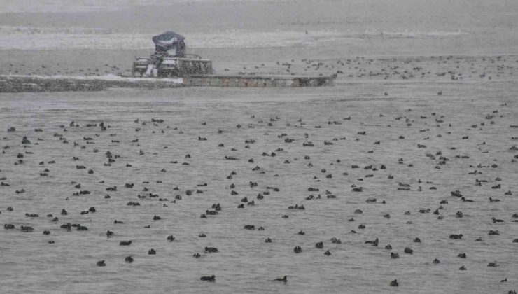 Beyşehir Gölü’nde kar yağışı hayatı olumsuz etkiliyor