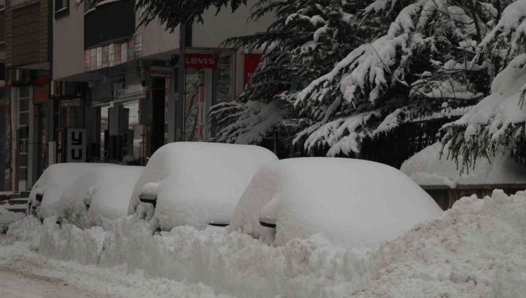 Bingöl’de 281 köy yolu ulaşıma kapandı