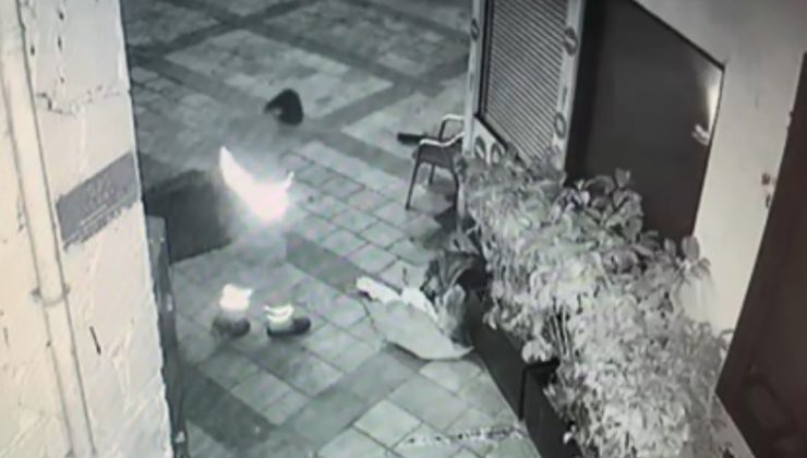 Bodrum’da yürek ısıtan görüntü