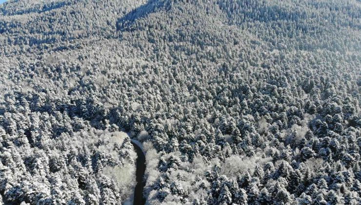 Bolu’nun karla kaplı ormanları havadan görüntülendi