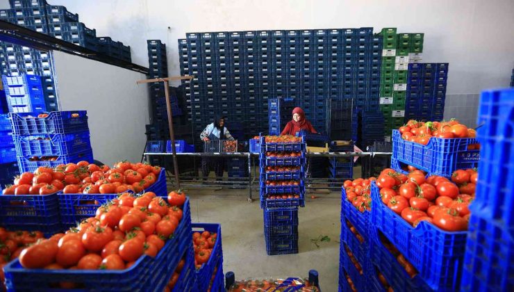 Büyükşehir, toptancı hal esnafına ‘kefil’ oluyor