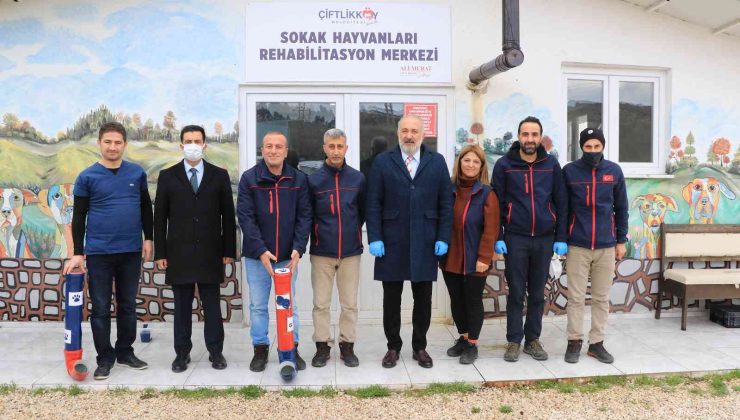 Çiftlikköy Belediyesi’nden sokak hayvanları için su borusunda mama kabı