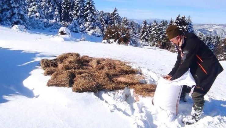 Doğa Koruma ve Milli Parklar Müdürlüğü, yaban hayvanlarını unutmadı