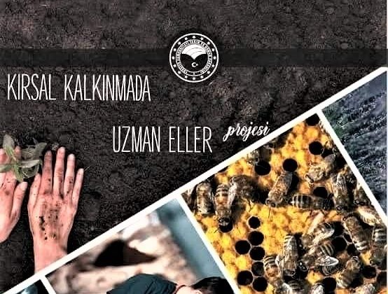 Erzincan’da  “Uzman Eller” projesinin başvuruları başladı
