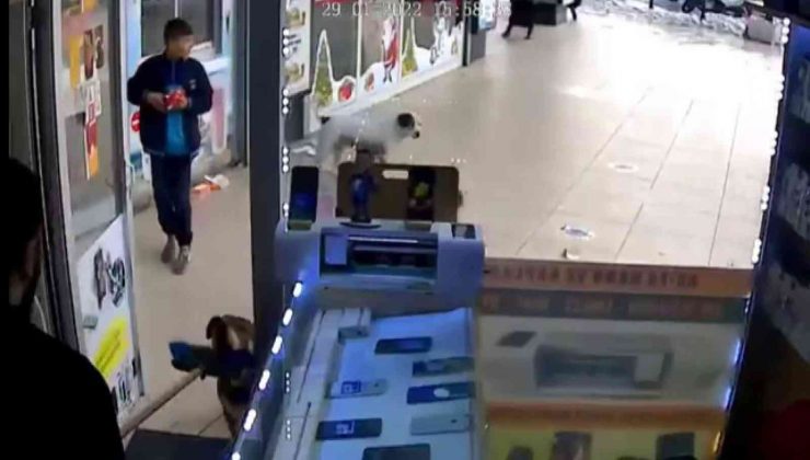 Esenyurt’ta başıboş köpeklerin vatandaşlara saldırı anı kamerada
