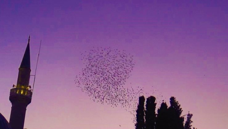 Gökyüzünün kızıllığı eşliğinde muhteşem dans